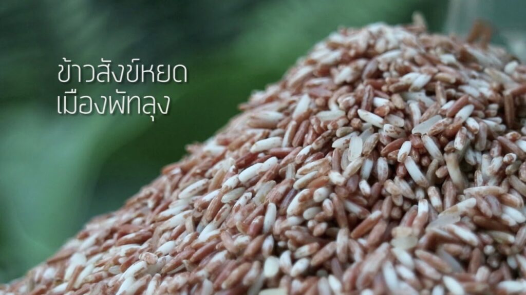 ข้าวสังข์หยดเมืองพัทลุง Sangyod Maung Phatthalung Rice